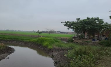 Vendo terreno vía a Guachapelí