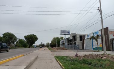 Renta de terreno en lagos de Moreno