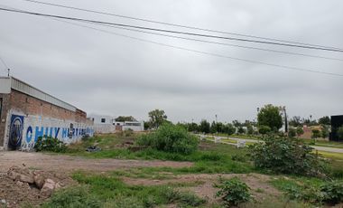 Renta de terreno en lagos de Moreno