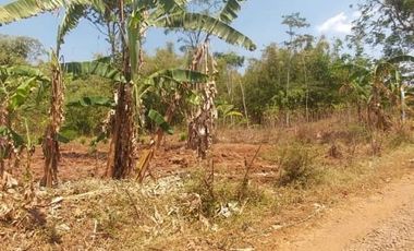Jual Tanah Perumahan 9,3 Ha Di Cikancung Kota Bandung