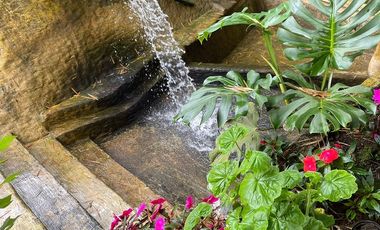 finca en arriendo en lago calima. Cod A15459