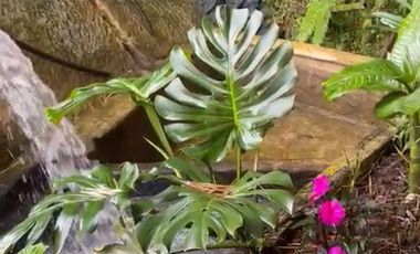 finca en arriendo en lago calima. Cod A15459