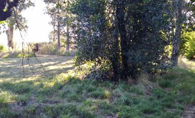 Excelente fracción de 30.000 m2 en Ingeniero Allan, Florencio Varela, dos viviendas, arbolado