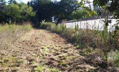 Excelente fracción de 30.000 m2 en Ingeniero Allan, Florencio Varela, dos viviendas, arbolado