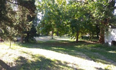 Excelente fracción de 30.000 m2 en Ingeniero Allan, Florencio Varela, dos viviendas, arbolado