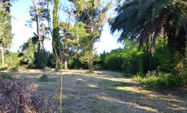 Excelente fracción de 30.000 m2 en Ingeniero Allan, Florencio Varela, dos viviendas, arbolado