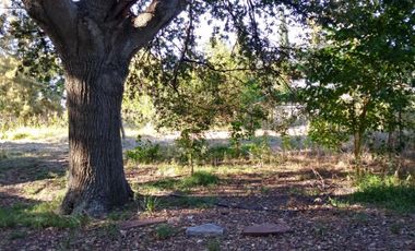 Excelente fracción de 30.000 m2 en Ingeniero Allan, Florencio Varela, dos viviendas, arbolado