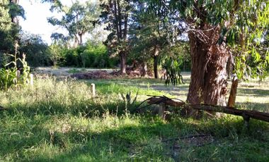 Excelente fracción de 30.000 m2 en Ingeniero Allan, Florencio Varela, dos viviendas, arbolado