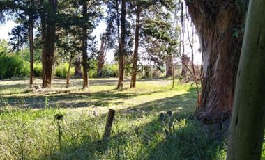 Excelente fracción de 30.000 m2 en Ingeniero Allan, Florencio Varela, dos viviendas, arbolado