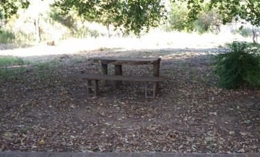 Excelente fracción de 30.000 m2 en Ingeniero Allan, Florencio Varela, dos viviendas, arbolado