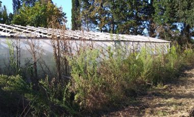 Excelente fracción de 30.000 m2 en Ingeniero Allan, Florencio Varela, dos viviendas, arbolado