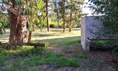 Excelente fracción de 30.000 m2 en Ingeniero Allan, Florencio Varela, dos viviendas, arbolado