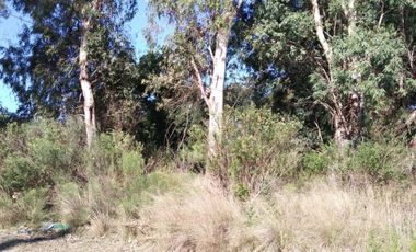 Excelente fracción de 30.000 m2 en Ingeniero Allan, Florencio Varela, dos viviendas, arbolado