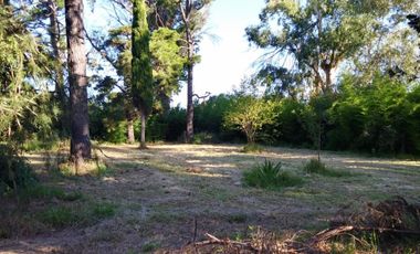 Excelente fracción de 30.000 m2 en Ingeniero Allan, Florencio Varela, dos viviendas, arbolado