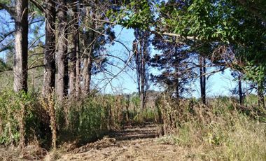 Excelente fracción de 30.000 m2 en Ingeniero Allan, Florencio Varela, dos viviendas, arbolado