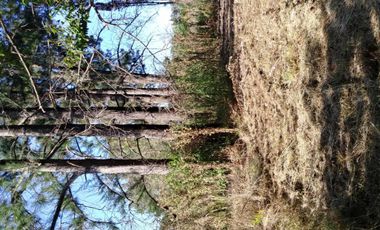 Excelente fracción de 30.000 m2 en Ingeniero Allan, Florencio Varela, dos viviendas, arbolado