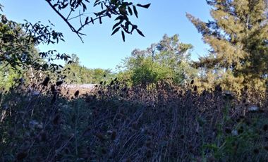 Excelente fracción de 30.000 m2 en Ingeniero Allan, Florencio Varela, dos viviendas, arbolado