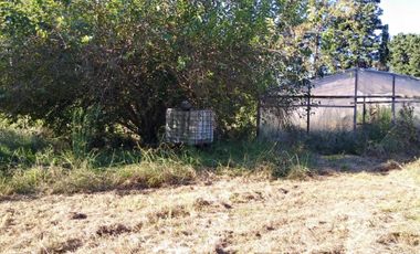 Excelente fracción de 30.000 m2 en Ingeniero Allan, Florencio Varela, dos viviendas, arbolado