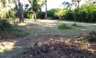 Excelente fracción de 30.000 m2 en Ingeniero Allan, Florencio Varela, dos viviendas, arbolado