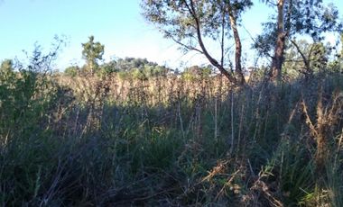Excelente fracción de 30.000 m2 en Ingeniero Allan, Florencio Varela, dos viviendas, arbolado