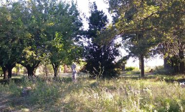 Excelente fracción de 30.000 m2 en Ingeniero Allan, Florencio Varela, dos viviendas, arbolado