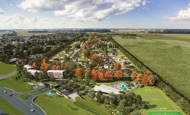 Developer Park Lote 221.