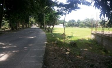 Residential / Agricultural lot for sale, Bacnotan, La Union