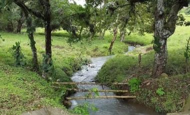 Venta de Espectacular Terreno de 11 Hectáreas en Vía David a Boquete