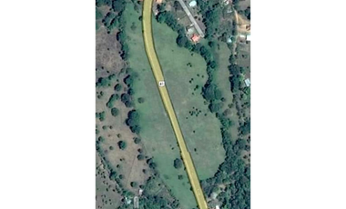 Venta de Espectacular Terreno de 11 Hectáreas en Vía David a Boquete
