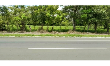 Venta de Espectacular Terreno de 11 Hectáreas en Vía David a Boquete