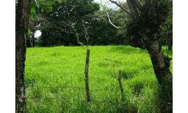 Venta de Espectacular Terreno de 11 Hectáreas en Vía David a Boquete