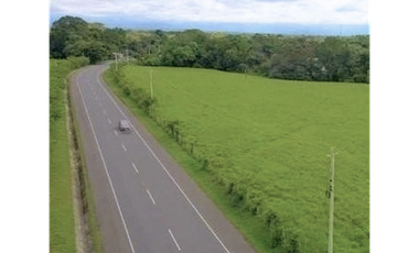 Venta de Espectacular Terreno de 11 Hectáreas en Vía David a Boquete