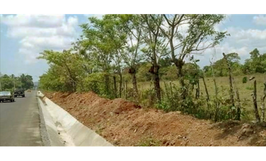 Venta de Espectacular Terreno de 11 Hectáreas en Vía David a Boquete