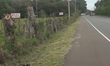 Venta de Espectacular Terreno de 11 Hectáreas en Vía David a Boquete