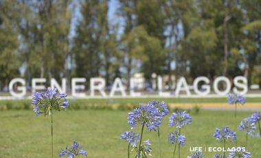 Terreno de 450 M² en General Lagos - EcoLagos