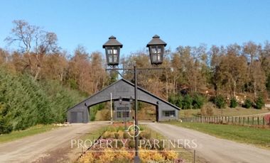 Terreno Loteo primera linea Futrono , Lago Ranco