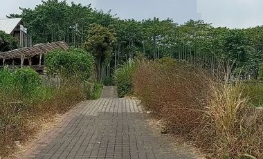 Tanah di Cisarua Bandung bonus rumah lokasi strategis
