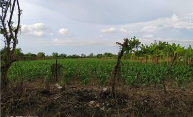 Venta de Media hectárea en el Faro 2