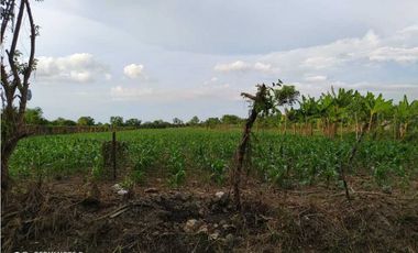 Venta de Media hectárea en el Faro 2