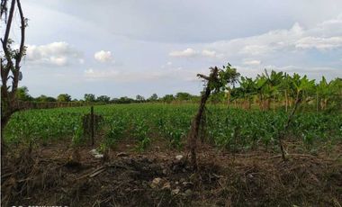 Venta de Media hectárea en el Faro 2