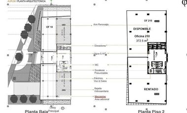 OFICINA RENTA  EDIFICIO AURUM- 372  m²