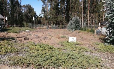 Sitio en Venta en Costa Quilén, Horcón