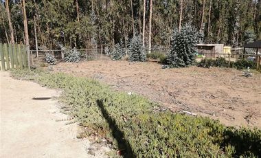 Sitio en Venta en Costa Quilén, Horcón