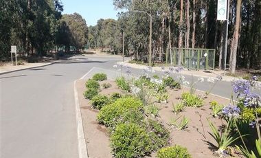 Sitio en Venta en Costa Quilén, Horcón
