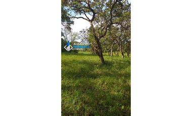 Vendo hermosa finca en Dolega, especial para ganadería o residencial!