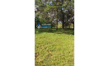 Vendo hermosa finca en Dolega, especial para ganadería o residencial!