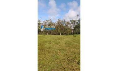Vendo hermosa finca en Dolega, especial para ganadería o residencial!