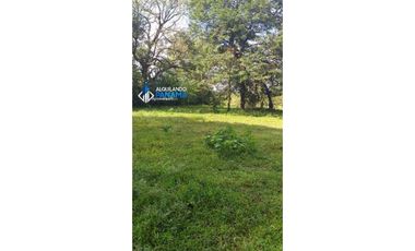 Vendo hermosa finca en Dolega, especial para ganadería o residencial!