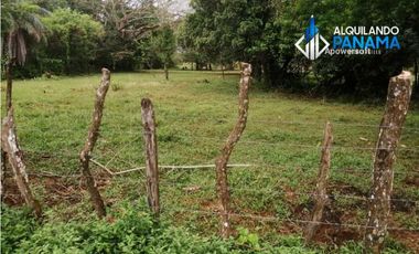 Vendo hermosa finca en Dolega, especial para ganadería o residencial!
