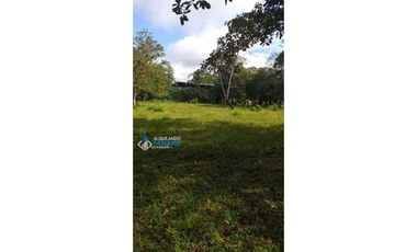 Vendo hermosa finca en Dolega, especial para ganadería o residencial!